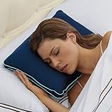 Brookstone BioSense Travel Pillow