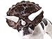California Costumes Pet Stegosaurus Dog Costume
