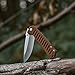 TANGRAM Folding Pocket Knife ACUTO440 Drop-Point Sharp Blade Liner Lock Brown G10 Handle Knife,Dirk Pinkerton Progression TG3008A2