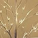 EAMBRITE Warm White LED Tree Light Winter Wedding Home Decorative Tree Light for Indoor and Outdoor Use (5FT Birch Tree Lights)