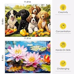 Neoflavie 6 Pack16&35 Dementia Puzzles for