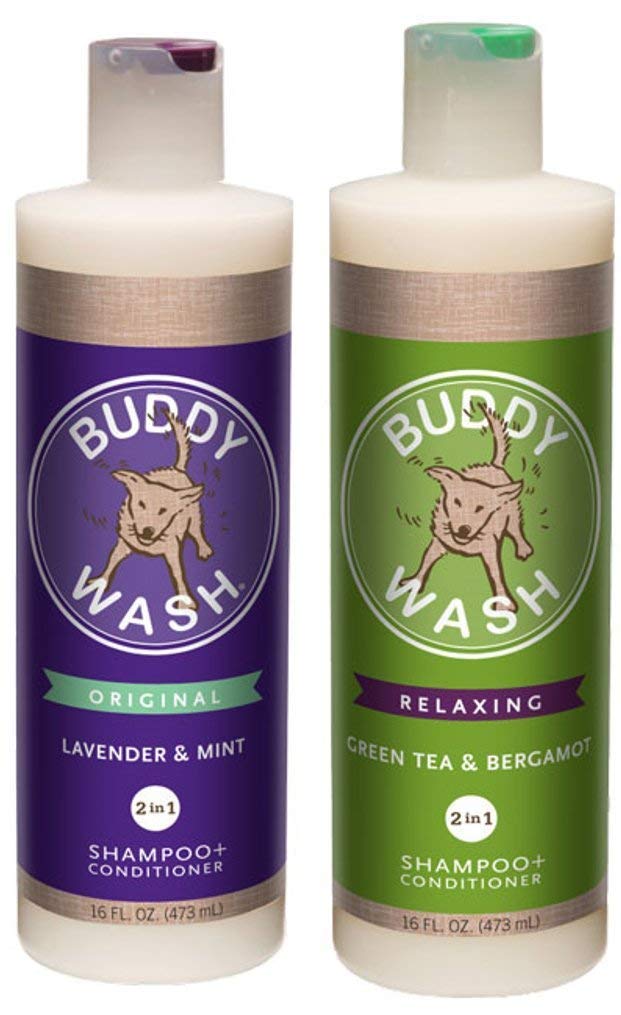 buddy dog shampoo