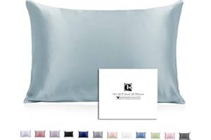 Ravmix Silk Pillowcase for Hair and Skin with Hidden Zipper, Both Sides 21Momme Mulberry Silk Cooling Pillow Case Standard Size 20×26inches, 1PCS, Aqua Green