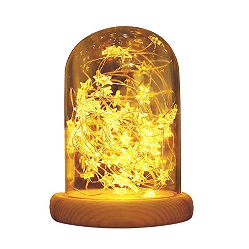 Elebor LED Fairy Lights, 2 Packs 33ft 100LED Remote Control Waterproof Deco Rope Lights Battery Operated String Lights Copper Wire Lights for Christmas (Warm)