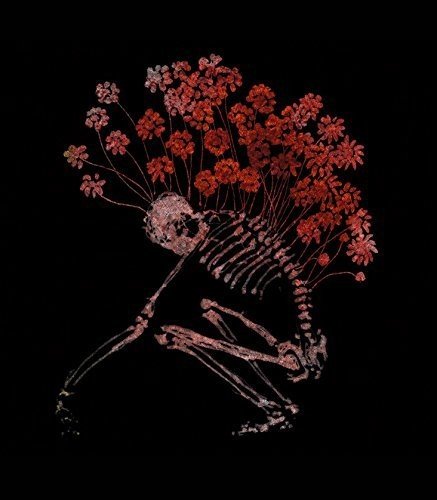 Tenhi - Folk Aesthetic 1996-2006 - Zortam Music