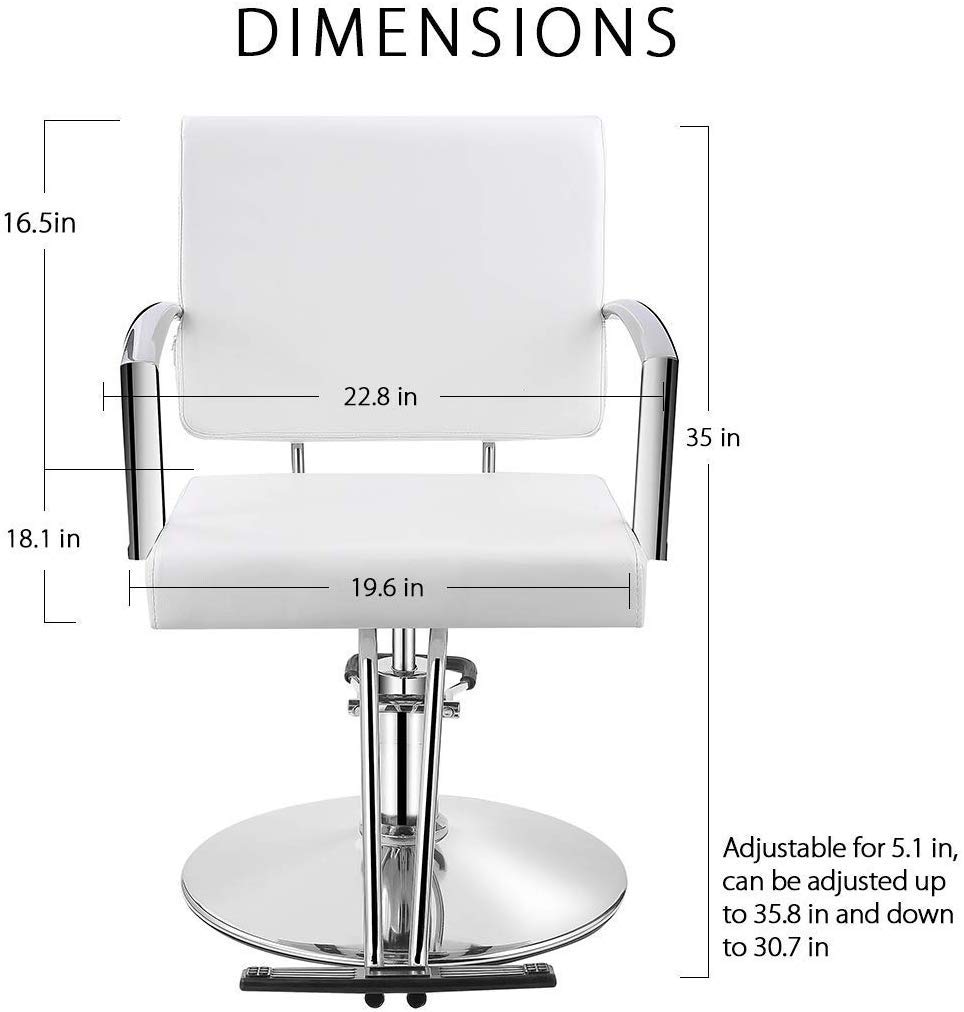 Baasha Beauty Pink Salon Hydraulic Styling Chair, Beauty Equipment Salon Chairs for Hair Stylist, Styling Chair for Salon Pink, Hair Stylist Chair, Hydraulic Chair: Beauty