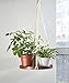 TIMEYARD Macrame Plant Hanger – Indoor Hanging Planter Shelf – Decorative Flower Pot Holder – Boho Bohemian Home Decor, in Box, for Succulents, Cacti, Herbs, Small Plantsthumb 2