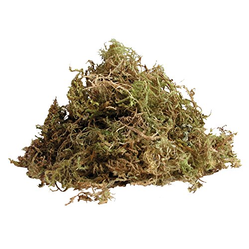 Zilla Reptile Terrarium Bedding Substrate Beaked Moss, 10-Quart