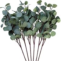 Seanmi Artificial Eucalyptus Leaves, 6 Pcs Faux Dried Silver Dollar Eucalyptus Garland Branches Stems, Fake Greenery Decor Plastic Plants for Decoration (25.6 Inches Tall, Grey Green)