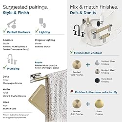 Amerock BH36563PNBBZ | Polished Nickel/Golden