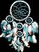 Betterdecor Handmade Dream Catcher with Feathers Wall Hanging Decoration (with a Bag)