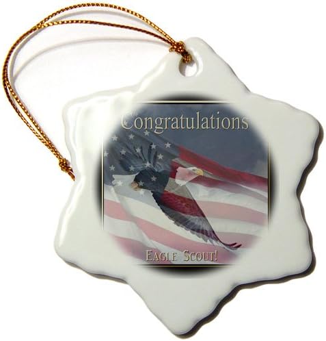 Beverly Turner Photography Flying Eagle Congratulations Eagle Scout Snowflake Porcelain Ornament, 3-Inch