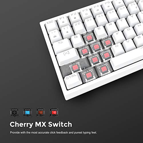 DREVO Gramr Teclado Mecánico con Cable USB, Tipo TKL, 84 Teclas, Retroiluminación LED Blanca, Tamaño 75%, Interruptores Cherry MX Marrón - Imagen 4