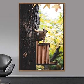 signwin Framed Canvas Wall Art Squirrel Animals Fun...