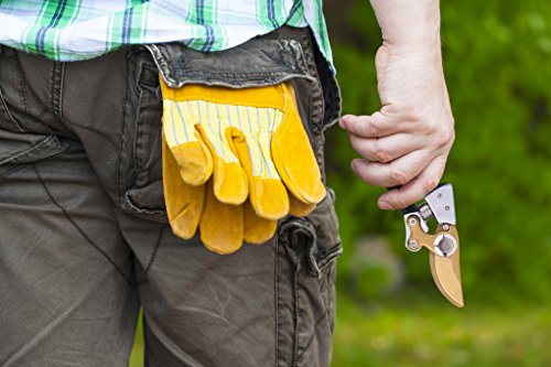 #1 Premium Bypass Pruning Shears ✠ The Toughest Garden Pruner For Trees, Hedges, Shrubs and Roses ✠ Blade Remains Sharp For Longer ✠ Hand Friendly Ergonomic Vinyl Handles For Effortless Cuts - Image 5