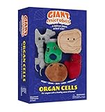 Giantmicrobes Themed Gift Boxes - Organ Cell