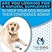 Glucosamine Chondroitin Soft Chewables for Dogs Turmeric, Arthritis Pain and Hip Dysplasia Treatment-Made in USA-Chicken Flavor-120 Chews