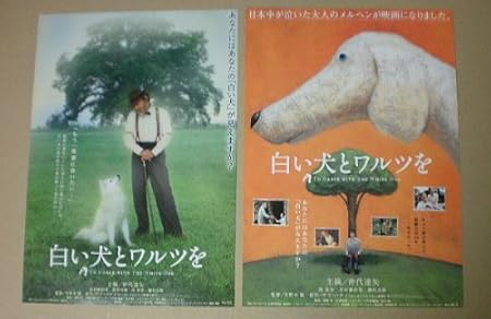 別に 間に合わせ クラブ アマゾン の 白い 犬 Konkatunavi Jp