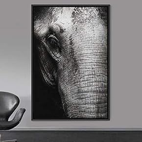signwin Framed Canvas Wall Art Duotone Elephants Animals...