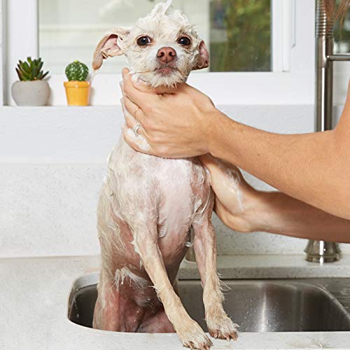 4 Natural+Oatmeal+Dog+Shampoo+Conditioner+Medicated