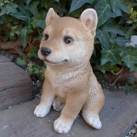 Amazon Co Jp 犬の置物 柴犬 子犬 豆柴 いぬ イヌ 動物 N12907 オーナメント ガーデン オブジェ 庭 雑貨 ガーデニング ガーデンマスコット リアル ディ ホーム キッチン