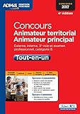 Concours Animateur territorial et animateur principal - Catégorie B - Tout-en-un - Concours 2017 by 