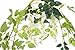 Sunrisee 2 Pcs Artificial Flowers Garlands 6FT Silk Wisteria Ivy Vine Hanging Flower Greenery Garland for Wedding Party Home Garden Wall Decoration, White