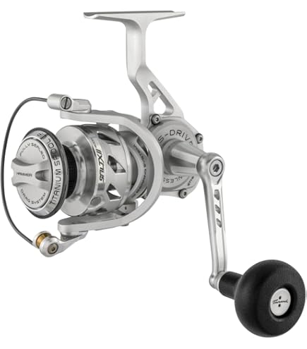 Amazon.com : Shimano Stella SW D Spinning Reels (STLSW6000HGD