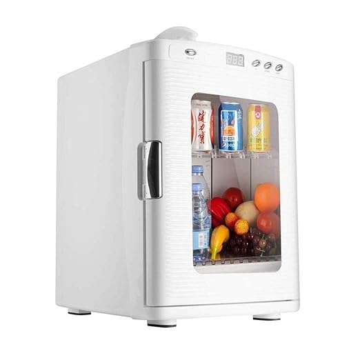 SLKXN Nevera portátil, termoeléctrica Mini refrigerador del ...