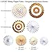 Aonor Gold Party Decorations - Sparkly Paper Fan Flowers Banner, Hanging Swirls, Paper Garland Bunting for Baby Shower Backdrop, Birthday Party Wall Decorations
