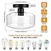 Industrial Semi-Flush Mount Ceiling Light, Clear Glass Pendant Lamp Shades, Farmhouse Lighting for Porch Hallway Kitchen Island Corridor Bedroom Bar, Vintage Hanging Light Fixtures, Bulb Not Included
