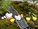 Danmu Mini Resin Fairy Garden Figurines, Fairy Garden Miniatures, Fairy Garden Accessories, The Chickens and Eggs Set Miniature Plant Pots Bonsai Craft Micro Landscape DIY Decor