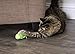 SmartyKat Cruzin' Critter Electronic Motion Cat Toy, Battery Powered - Green, One Size
