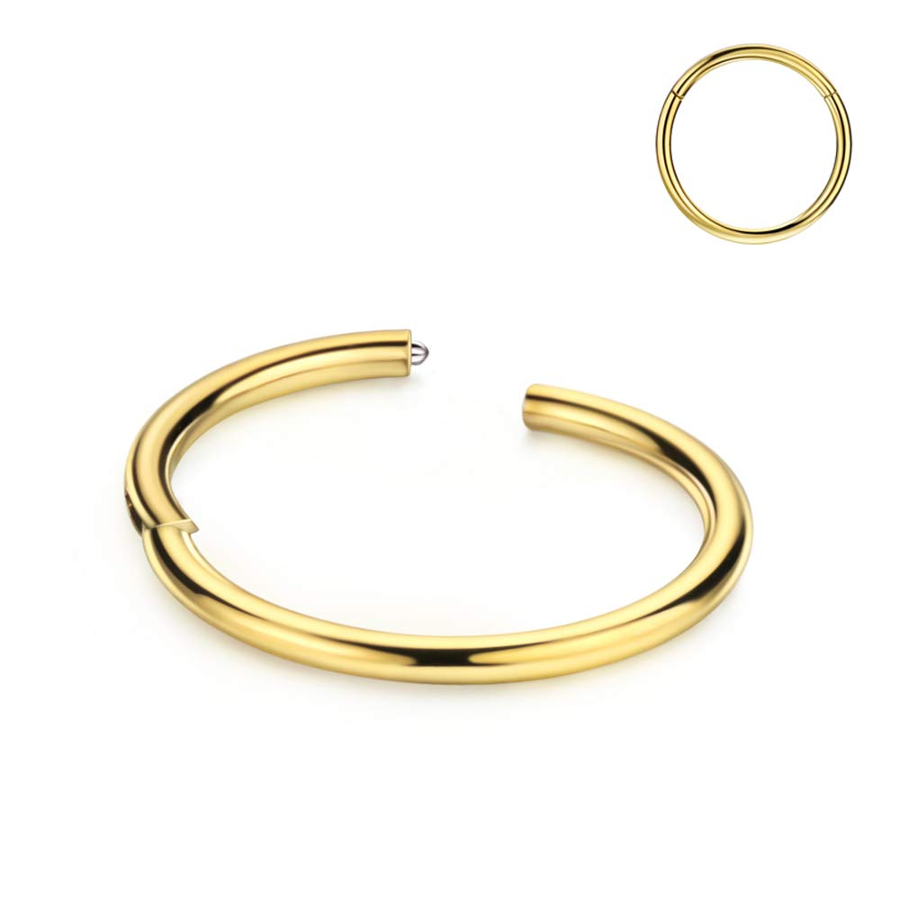 FANSINGMen Women 316L Surgical Steel Hinged Nose Rings Hoop for Nostril Septum Cartilage Helix Daith Tragus Rook Conch Lip Ear Lobe Piercings