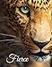 Fierce: Discreet Internet Website Password Logbook, Large Print Book, 8 1/2