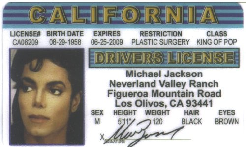 Michael Jackson Fun Fake ID License