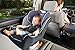Graco Sequence 65 Convertible Car Seat, Anabelethumb 3