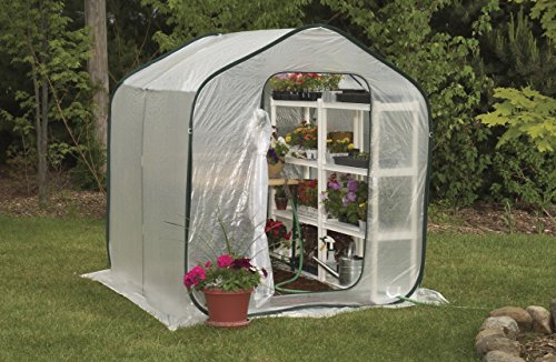 Flower House FHSP300 SpringHouse Greenhouse