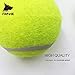FitPetx Squeaker Tennis balls, Pet Squeaky Toy, 2.5