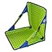 Hex 2.0 Original Chair Color: Royal/Lime