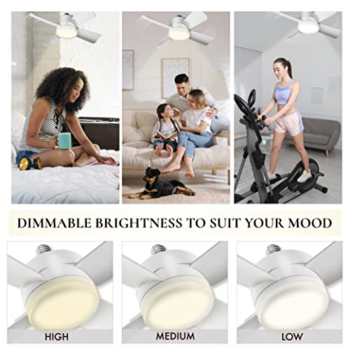Socket Fan Light Ceiling Fans With Lights Remote Control, Light Bulb