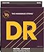 DR Strings Nickel Lo-Rider - Nickel Plated Hex Core 5 String Bass 45-125