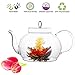 Tea Beyond Large Blooming Tea Glass Teapot Polo, 45oz/1330ml Stainless Steel Strainer Non-Drip Friendship Series