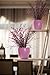 Santino, Self Watering Planter Deco 7.9 Inch,Jade, Indoor Decorative Flower Pot with Drainage Cartridge and Water Level Indicator