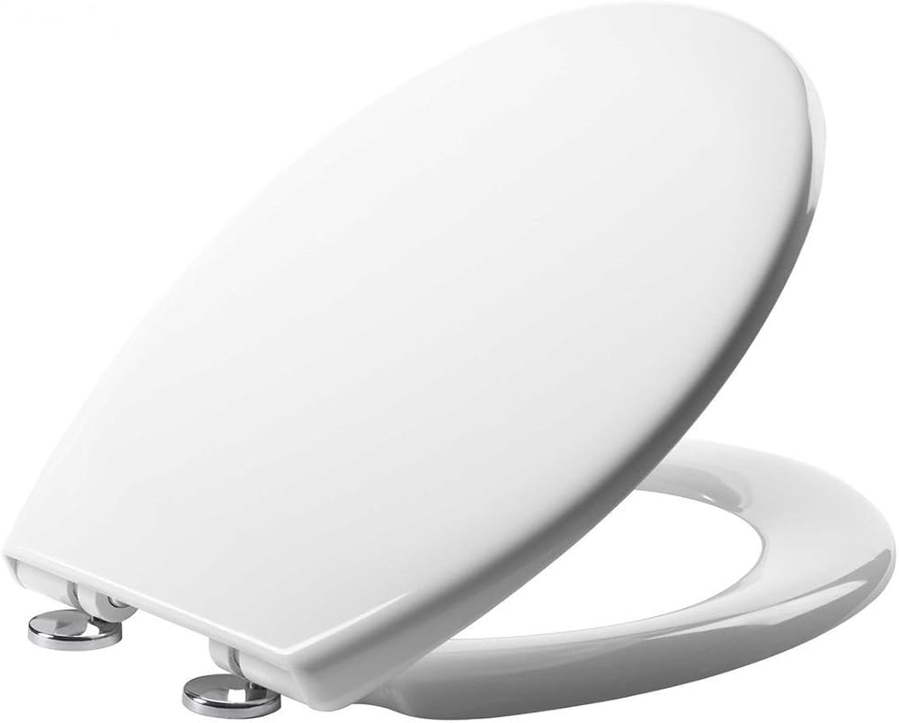 Geberit e-Plumb 23607 Linn Soft Close Toilet Seat White Thermoset Plastic Hinges