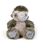 Tatty Teddy & My Blue Nose Friends Peers the Meerkat soft toy, sits 4