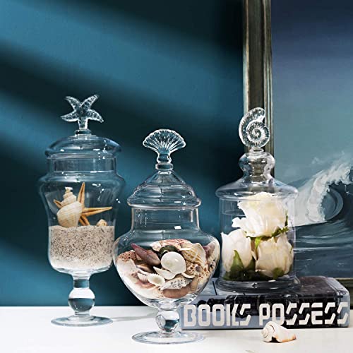 Juego de 3 tarros de botes de vidrio transparente con manija Seashell / recipientes de almacenamiento de alimentos / centros de mesa decorativos