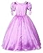 JerrisApparel New Princess Rapunzel Party Dress Costume (4T, Purple)