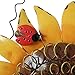 Metal Sunflower Bird House for Outside Hanging Decorative Hand-Painted Birdhouse Yard Garden Decor 12