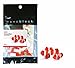 Nanoblock Clownfish